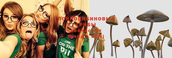 хмурый Богданович