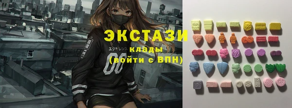 ECSTASY Богородск