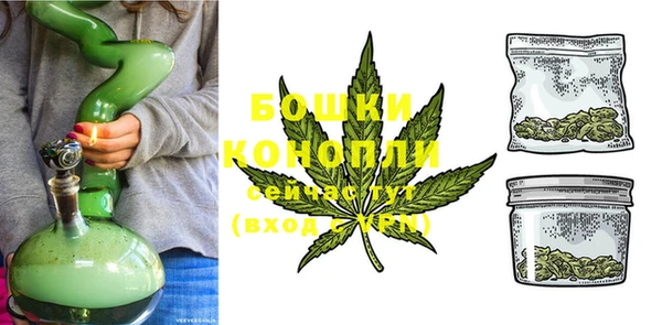 ECSTASY Богородск