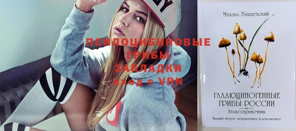 хмурый Богданович