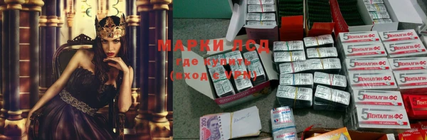 ПСИЛОЦИБИНОВЫЕ ГРИБЫ Грязовец