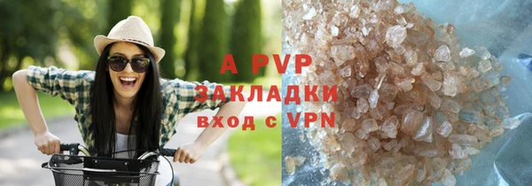 ECSTASY Богородск